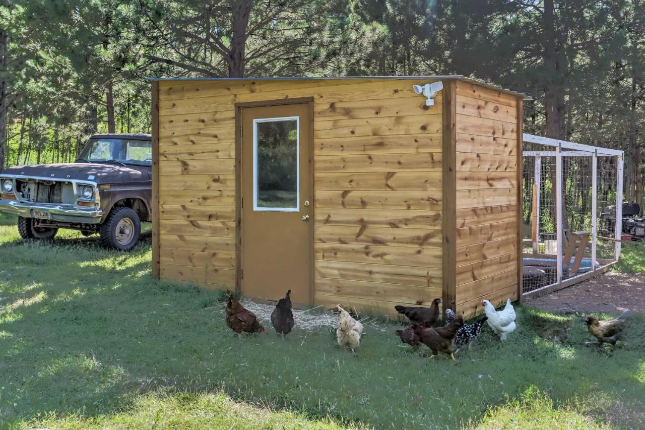 Rapid City Cabin With Hiking And Atv Trail Access Exterior photo